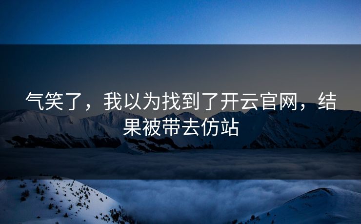 气笑了，我以为找到了开云官网，结果被带去仿站
