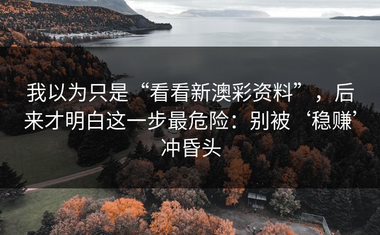 我以为只是“看看新澳彩资料”,后来才明白这一步最危险:别被‘稳赚’冲昏头